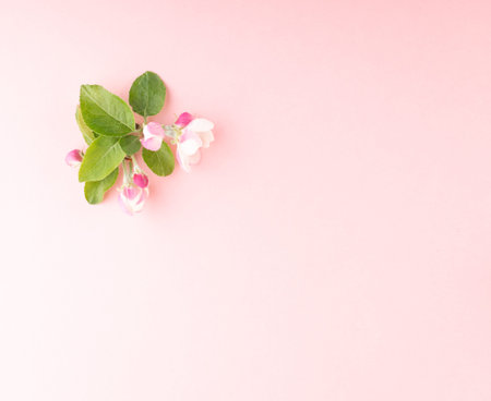 Beautiful early spring garden flower background with blossoming light pink apple flowers flat lay...