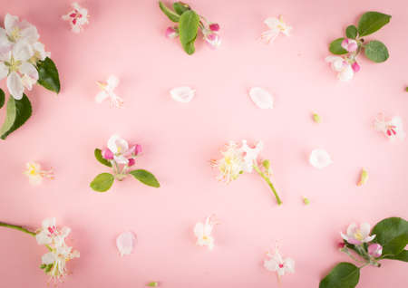 Beautiful early spring garden flower background with blossoming light pink apple flowers flat lay and top view. Creative pastel paper cardの写真素材