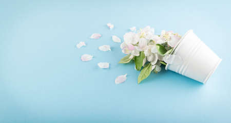 Beautiful early spring garden flower background with blossoming light pink apple flowers flat lay and top view. Creative pastel paper cardの写真素材