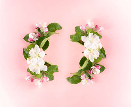 Beautiful early spring garden flower background with blossoming light pink apple flowers flat lay and top view. Creative pastel paper card with place for textの写真素材
