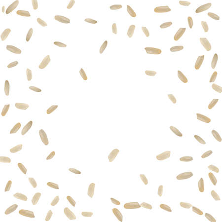Raw Realistic Rice Pattern or Background Top View and Flat Layのイラスト素材