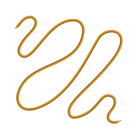 Electric Power Cable Isolated on White Background. Electrical Copper Wire or Cord.のイラスト素材