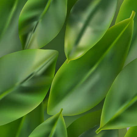 Green Leaf Realistic 3d Background. Creative lush Greenery Seamless Pattern with Ficus Leavesのイラスト素材