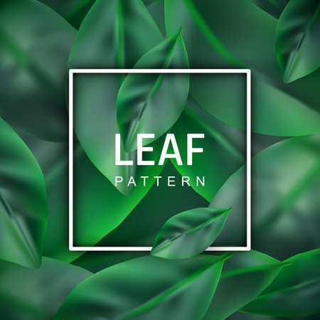 Green Leaf Realistic 3d Background. Creative lush Greenery Summer Pattern with Ficus Leavesのイラスト素材