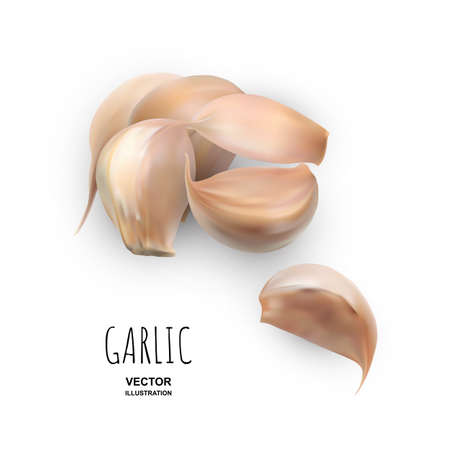 Set of Realistic Dry Garlic Cloves Isolated on White Background Top View.のイラスト素材