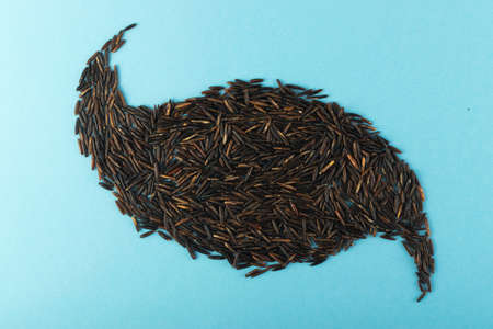 Raw Black Wild Rice on Blue Paper Background Top View. Healthy Dietetic Canada Rice Cereal Texture with Place for Textの写真素材