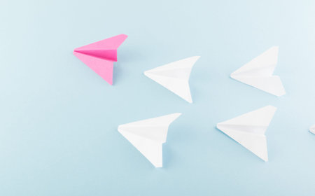 One Unique Pink Paper Plane among Many Ones. Different Paper Airplanes as Individuality and...