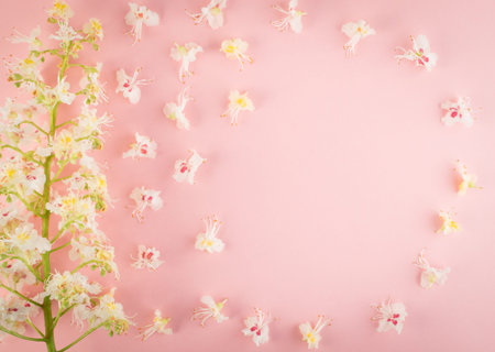 Beautiful early spring garden flower background with blossoming light chestnut flowers flat lay and...