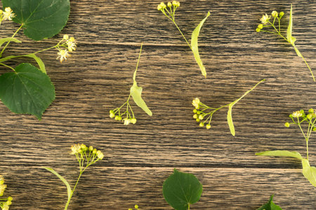Linden Flowers Pattern on Wooden Background. Beautiful Summer Tilia Twigs over Wood Table Texture....