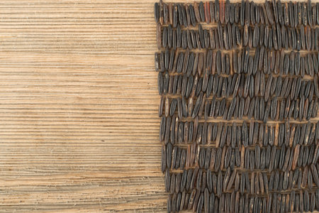 Raw Black Wild Rice Background Top View. Healthy Dietetic Canada Rice Cereal Texture with Place for Textの写真素材