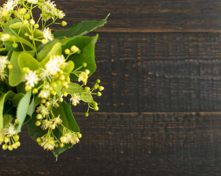 Linden Flowers on Wooden Background. Beautiful Summer Bouquet over Wood Table Texture. Tilia Blossom with Place for Textの写真素材