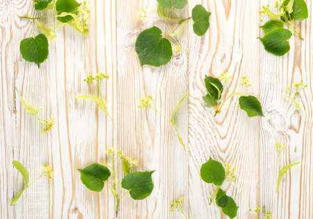 Linden Flowers Pattern on Wooden Background. Beautiful Summer Tilia Twigs over Wood Table Texture. Tilia Blossoms Top View and Flat Layの写真素材