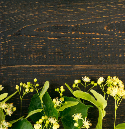 Linden Flowers on Wooden Background. Beautiful Summer Bouquet over Wood Table Texture. Tilia Blossom...