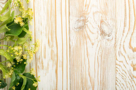 Linden Flowers on Wooden Background. Beautiful Summer Bouquet over Wood Table Texture. Tilia Blossom with Place for Textの写真素材