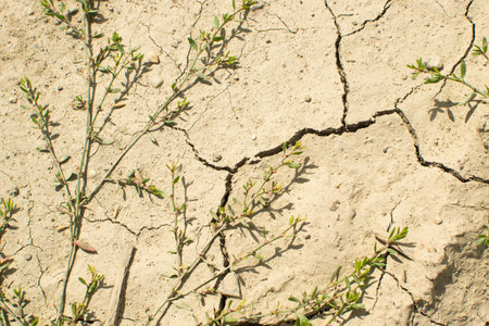 Cracked dry earth top view as drought and global warming concept. Broken clay soil texture with...