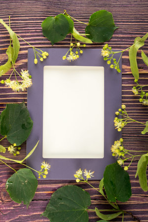 Linden Flowers with Frame on Wooden Background. Beautiful Summer Bouquet over Wood Table Texture....