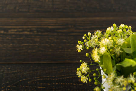 Linden Flowers on Wooden Background. Beautiful Summer Bouquet over Wood Table Texture. Tilia Blossom with Place for Textの写真素材
