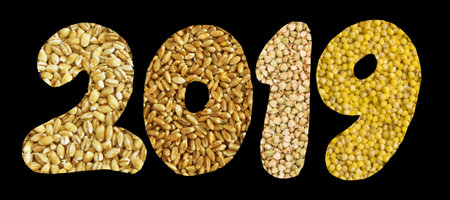 2019 Numbers with Cereals and Seeds Collection Isolated on Black Background. Creative New Year...