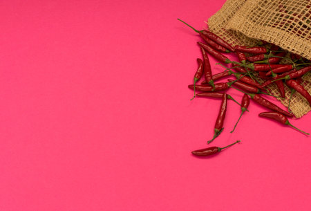 Very Hot Chili Peppers on Pink Paper Background Top View. Red Spicy Chilli Peppers Pattern or...