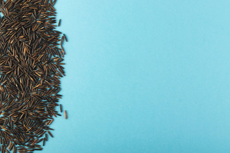 Raw Black Wild Rice on Blue Paper Background Top View Flat Lay. Healthy Dietetic Canada Bio Rice...