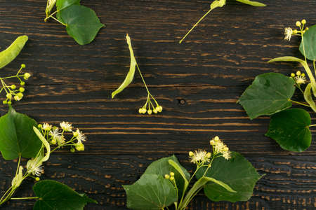 Linden Flowers Pattern on Wooden Background. Beautiful Summer Tilia Twigs over Wood Table Texture. Tilia Blossoms Top View and Flat Layの写真素材