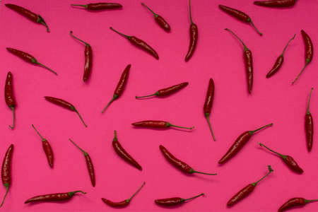 Very Hot Chili Peppers on Pink Paper Background Top View. Red Spicy Chilli Peppers Pattern or Backdrop for the Indian Menu for Oriental Food Designの写真素材