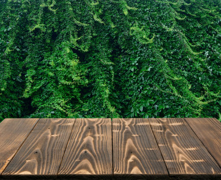 Wood table outside with lush green wall of hedera helix or creeper foliage in summer day. Ivy carpet...