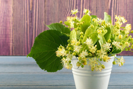 Linden Flowers on Wooden Background. Beautiful Summer Bouquet over Wood Table Texture. Tilia Blossom...