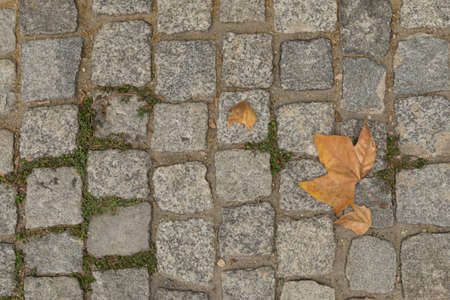 Grey Old Pavement Top View or Granite Cobblestone Road. Ancient Brick Cobblestoned Floor or Granite Tiles Street with Big Stonesの写真素材