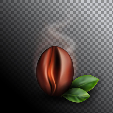 Freshly Roasted Coffee Bean with Rising Smoke. Realistic 3d Vector Illustration of Fragrant Coffe Grain on Dark Backgroundのイラスト素材