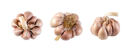 Macro Photo of Whole Clean Garlic Cloves from Different Angles Isolated with Clipping Path. Set of Garlic Bulbs on White Background Top View and Close Upの写真素材