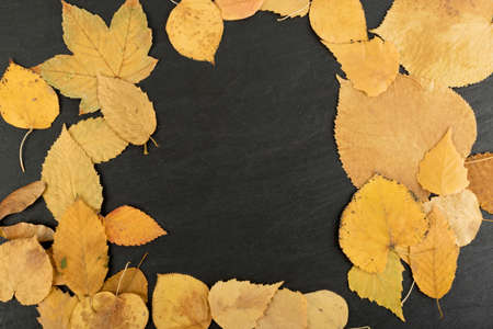 The forest floor, in camouflage colors with birch, oak, maple, chestnut, sycamore, linden and other leaf mix. Flat dried leaves top viewの写真素材