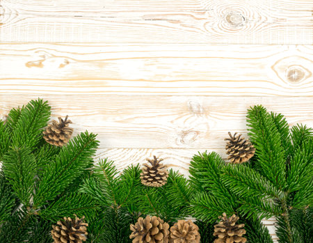 Natural green spruce twig on white background. Lush fir branches or pine twigs sprig texture top...