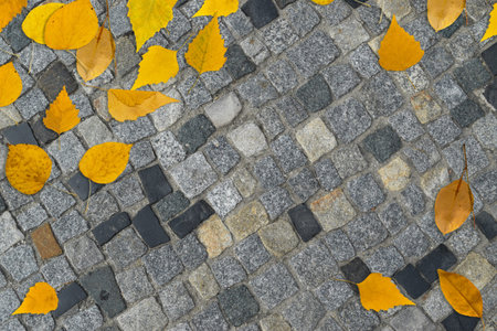 Autumn background with yellow leaves on old gray pavement or granite cobblestone road top view. Fall...
