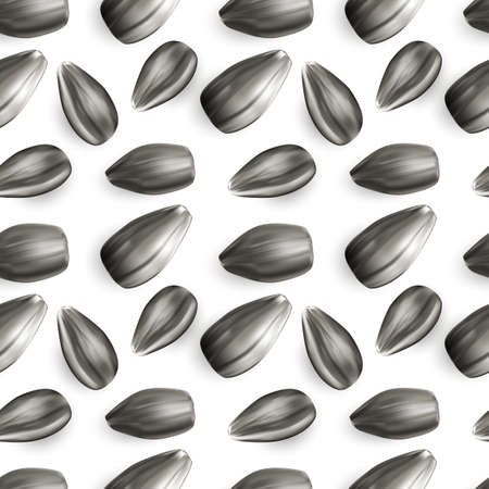 Natural uncooked black sunflower seeds for texture or backgroundの写真素材