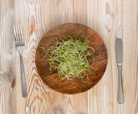 Heap of red clover sprouts, lucerne and radish sprouts on wood rustic table background top view. Sprouted vegetable seeds for raw diet food, micro green healthy eating conceptの写真素材