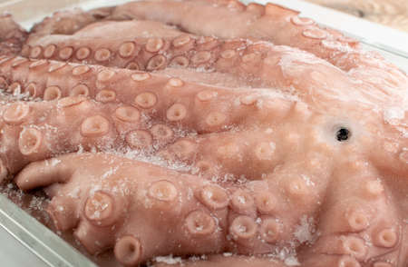 Macro shot of whole frozen octopus legs or big tentacles. Raw iced seafood, squid, calamari or cuttlefish texture closeupの写真素材