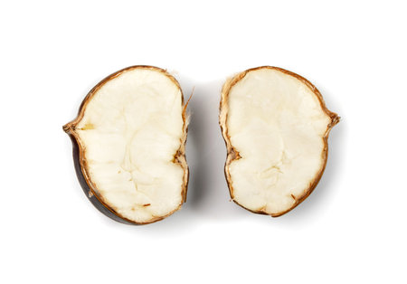 Edible sweet white chestnuts core, healthy delicious autumn and christmas veggie food. Cut in half...
