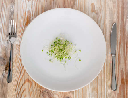 Heap of red clover sprouts, lucerne and radish sprouts on wood rustic table background top view. Sprouted vegetable seeds for raw diet food, micro green healthy eating conceptの写真素材