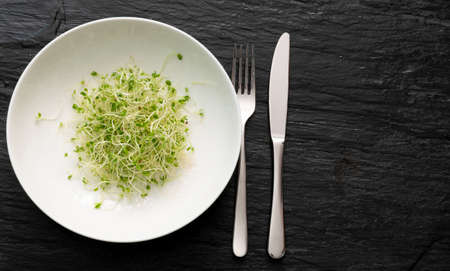 Heap of red clover sprouts, lucerne and radish sprouts on black table background top view. Sprouted vegetable seeds for raw diet food, micro green healthy eating conceptの写真素材