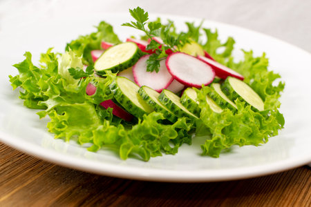 Spring radish salad with fresh cucumber and greens on white restaurant plate closeup. Simple green rustic salat with sliced radishes, cucumbers, escarole and lettuceの写真素材