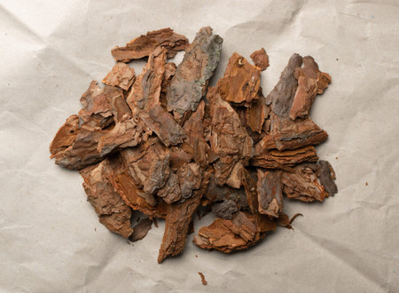 Heap of Dry Pine Tree Bark Pieces on Old Kraft Paper Background. Broken Woods Nature Chip
