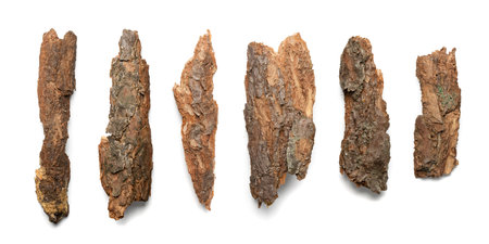 Pine, Cedar or Oak Tree Bark Pieces Isolated on White Background. Natural Broken Wooden Garden Mulch...