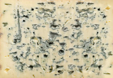 Moldy cheese texture background. Gorgonzola, neufchatel or danablue mold cheese pattern close upの写真素材