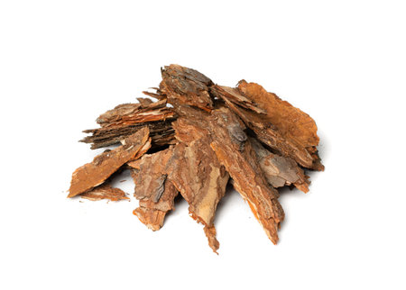 Heap of Dry Pine Tree Bark Pieces Isolated on White. Broken Woods Nature Chip
