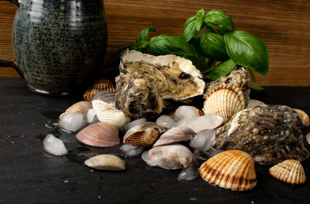 Fresh fisherman catch with oysters, greens and vintage mug. Raw molluscs, shellfish or mussels on...