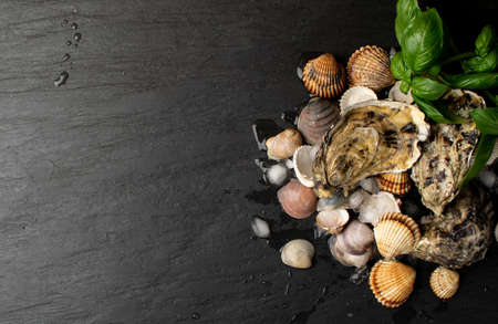 Fresh closed oysters on ice in seafood restaurant. Raw molluscs, shellfish or mussels on black background top view with copy spaceの写真素材