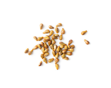 Heap of grape seeds isolated on white background top view. macro Grapeseeds pile macro photo