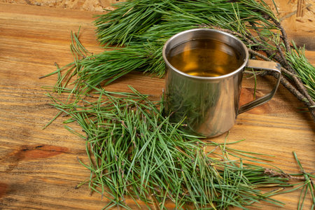 Pine needles tea in metal camping mug. Healthy winter beverage, pine tree needles tea. Medicine scurvy, source of vitamin C and caroteneの写真素材