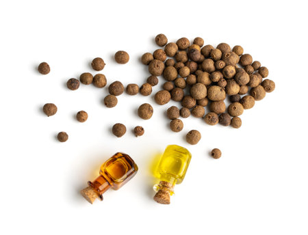 Allspice pepper seeds essential oil in small vintage bottle isolated. Jamaica peppercorns and...